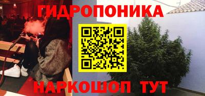 спиды Вязьма
